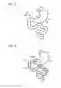 Fig. 11 - Digestive tract device