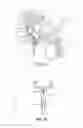 Fig. 09 - Balloon immobilization device for radiation treatment