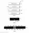 Fig. 12 - Methods and apparatus for therapeutic application of thermal energy including blood viscosity adjustment