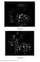 Fig. 14 - Methods and apparatus for therapeutic application of thermal energy including blood viscosity adjustment