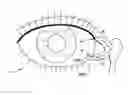 Fig. 01 - Treatment medium delivery device and methods for delivery of such treatment mediums to the eye using such delivery device