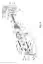Fig. 05 - Device for relieving or preventing lower back pain