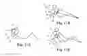 Fig. 14 - Massage device