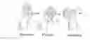 Fig. 01 - Diagnostic and treatment methods