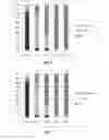 Fig. 04 - Diagnostic and treatment methods