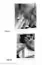 Fig. 17 - Diagnostic and treatment methods