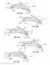 Fig. 40 - DEVICES AND METHODS FOR PROMOTING FEMALE SEXUAL WELLNESS
