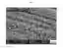 Fig. 05 - Dental primer formulation