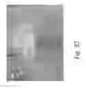 Fig. 103 - Stable Silk Protein Fragment Compositions