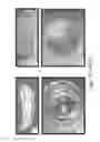 Fig. 48 - Stable Silk Protein Fragment Compositions