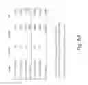 Fig. 64 - Stable Silk Protein Fragment Compositions