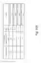 Fig. 94 - Stable Silk Protein Fragment Compositions
