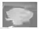 Fig. 01 - Stable silk protein fragment compositions