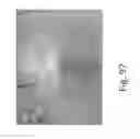 Fig. 103 - Stable silk protein fragment compositions