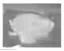 Fig. 01 - Stable silk protein fragment compositions
