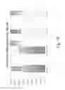 Fig. 79 - Stable silk protein fragment compositions