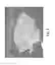 Fig. 04 - Stable silk protein fragment compositions