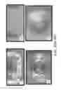 Fig. 49 - Stable silk protein fragment compositions
