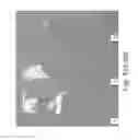 Fig. 83 - Stable silk protein fragment compositions