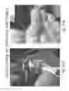 Fig. 84 - Stable silk protein fragment compositions