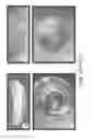 Fig. 48 - Stable silk protein fragment compositions