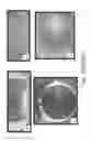 Fig. 55 - Stable silk protein fragment compositions