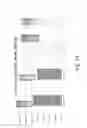 Fig. 75 - Stable silk protein fragment compositions