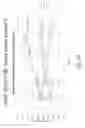 Fig. 81 - Stable silk protein fragment compositions