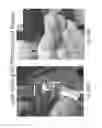 Fig. 84 - Stable silk protein fragment compositions
