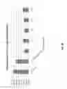 Fig. 19 - ORAL FORMULATION OF POLYGLUCOSAMINE DERIVATIVES IN COMBINATION WITH A NON-FERMENTABLE SUGAR