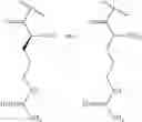 Fig. 32 - ORAL FORMULATION OF POLYGLUCOSAMINE DERIVATIVES IN COMBINATION WITH A NON-FERMENTABLE SUGAR