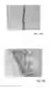 Fig. 06 - COMPOSITION FOR ORAL CARE