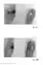 Fig. 07 - COMPOSITION FOR ORAL CARE