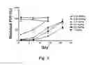 Fig. 04 - Lipid nanoparticles for transfection and related methods