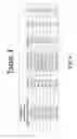 Fig. 07 - Lipid nanoparticles for transfection and related methods