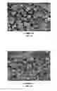Fig. 05 - Pharmaceutical composition for parenteral administration, containing donepezil