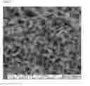 Fig. 05 - Formulation of an antibody and use thereof