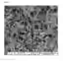 Fig. 06 - Formulation of an antibody and use thereof