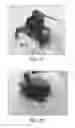 Fig. 27 - Compositions and methods for reducing overdose