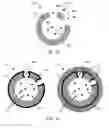 Fig. 03 - Multifunctional nanoparticle designs and applications
