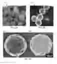 Fig. 07 - Multifunctional nanoparticle designs and applications