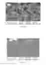 Fig. 09 - System and method for fabrication of uniform polymer films containing nano and micro particles via continuous drying process