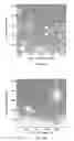 Fig. 18 - System and method for fabrication of uniform polymer films containing nano and micro particles via continuous drying process