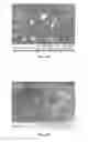 Fig. 26 - System and method for fabrication of uniform polymer films containing nano and micro particles via continuous drying process