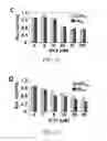 Fig. 03 - METHODS FOR REDUCING MICROSATELLITE INSTABILITY INDUCED BY CHEMOTHERAPY AND METHODS FOR SCREENING ANTIOXIDANTS THAT SUPPRESS DRUG-INDUCED MICROSATELLITE INSTABILITY WHILE ENHANCING THE CYTOTOXICITY OF CHEMOTHERAPEUTIC AGENTS