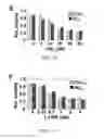 Fig. 04 - METHODS FOR REDUCING MICROSATELLITE INSTABILITY INDUCED BY CHEMOTHERAPY AND METHODS FOR SCREENING ANTIOXIDANTS THAT SUPPRESS DRUG-INDUCED MICROSATELLITE INSTABILITY WHILE ENHANCING THE CYTOTOXICITY OF CHEMOTHERAPEUTIC AGENTS