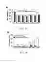 Fig. 09 - METHODS FOR REDUCING MICROSATELLITE INSTABILITY INDUCED BY CHEMOTHERAPY AND METHODS FOR SCREENING ANTIOXIDANTS THAT SUPPRESS DRUG-INDUCED MICROSATELLITE INSTABILITY WHILE ENHANCING THE CYTOTOXICITY OF CHEMOTHERAPEUTIC AGENTS