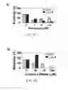 Fig. 20 - METHODS FOR REDUCING MICROSATELLITE INSTABILITY INDUCED BY CHEMOTHERAPY AND METHODS FOR SCREENING ANTIOXIDANTS THAT SUPPRESS DRUG-INDUCED MICROSATELLITE INSTABILITY WHILE ENHANCING THE CYTOTOXICITY OF CHEMOTHERAPEUTIC AGENTS