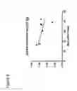 Fig. 09 - S-enantiomerically enriched compositions of beta blockers for treating amyotrophic lateral sclerosis