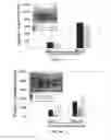 Fig. 07 - Compositions and methods for treating cancer